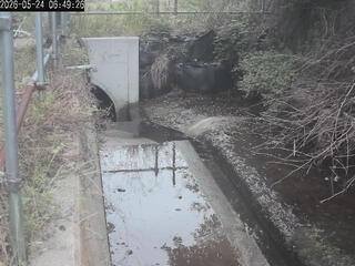 Drainage Ditch