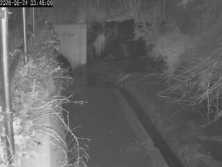 Drainage Ditch