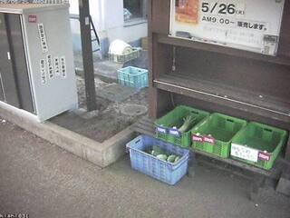 Security webcam