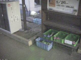 Security webcam
