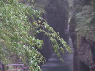 Webcam in Tokyo,Japan
