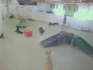 Webcam in Minnetonka,United States