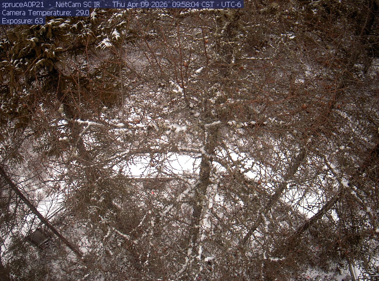 Webcam in Eveleth,United States