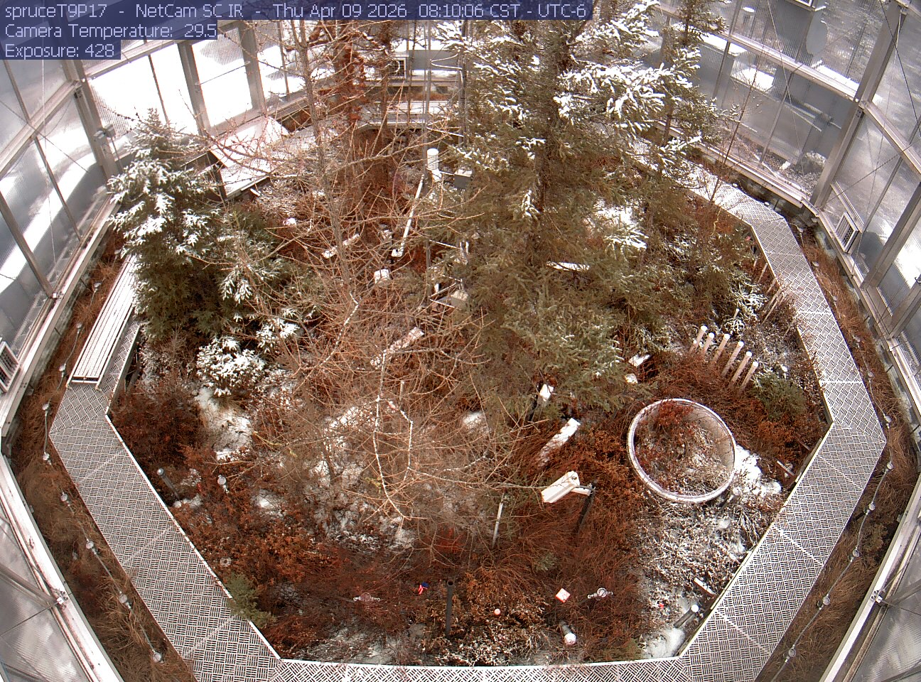 Webcam in Eveleth,United States