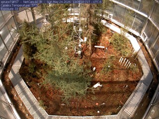 Arboretum