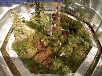 Arboretum