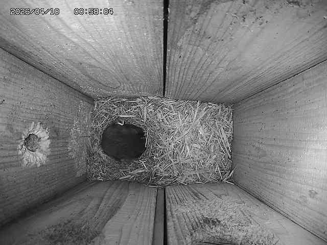 Webcam in Kitakyushu,Japan