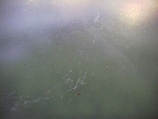 Unidentifiable