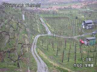 Webcam in Uruma,Japan