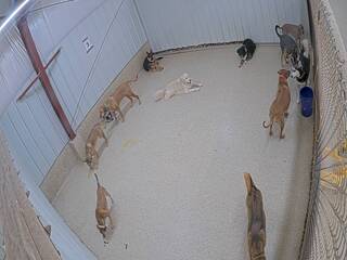 Webcam in De Pere,United States