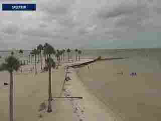 Webcam in Tampa,United States