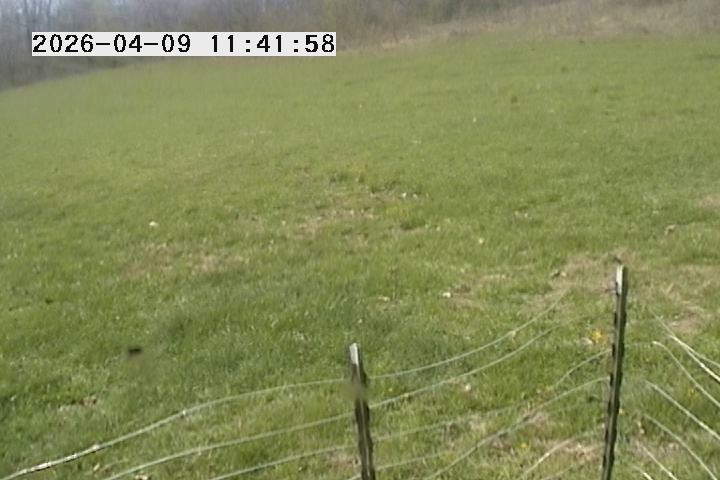 Webcam in United States