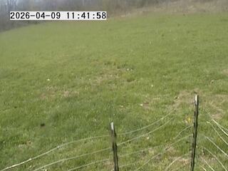 Webcam in United States