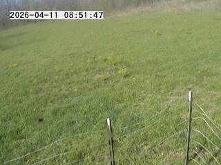 Field