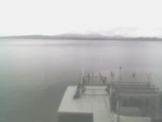 Boat Dock