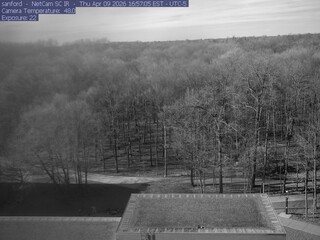 Michigan State University