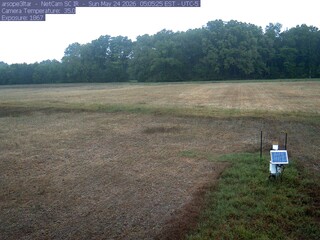 Fields