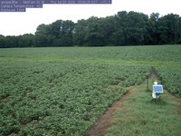 Fields
