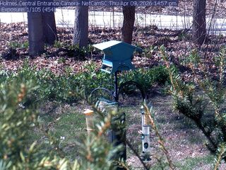 Webcam in East Lansing,United States