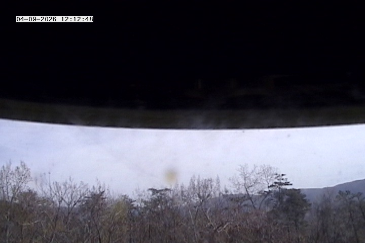 Webcam in United States