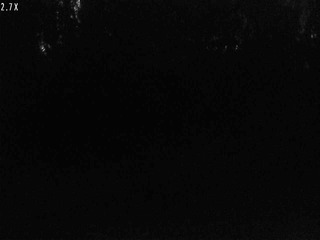 Security webcam