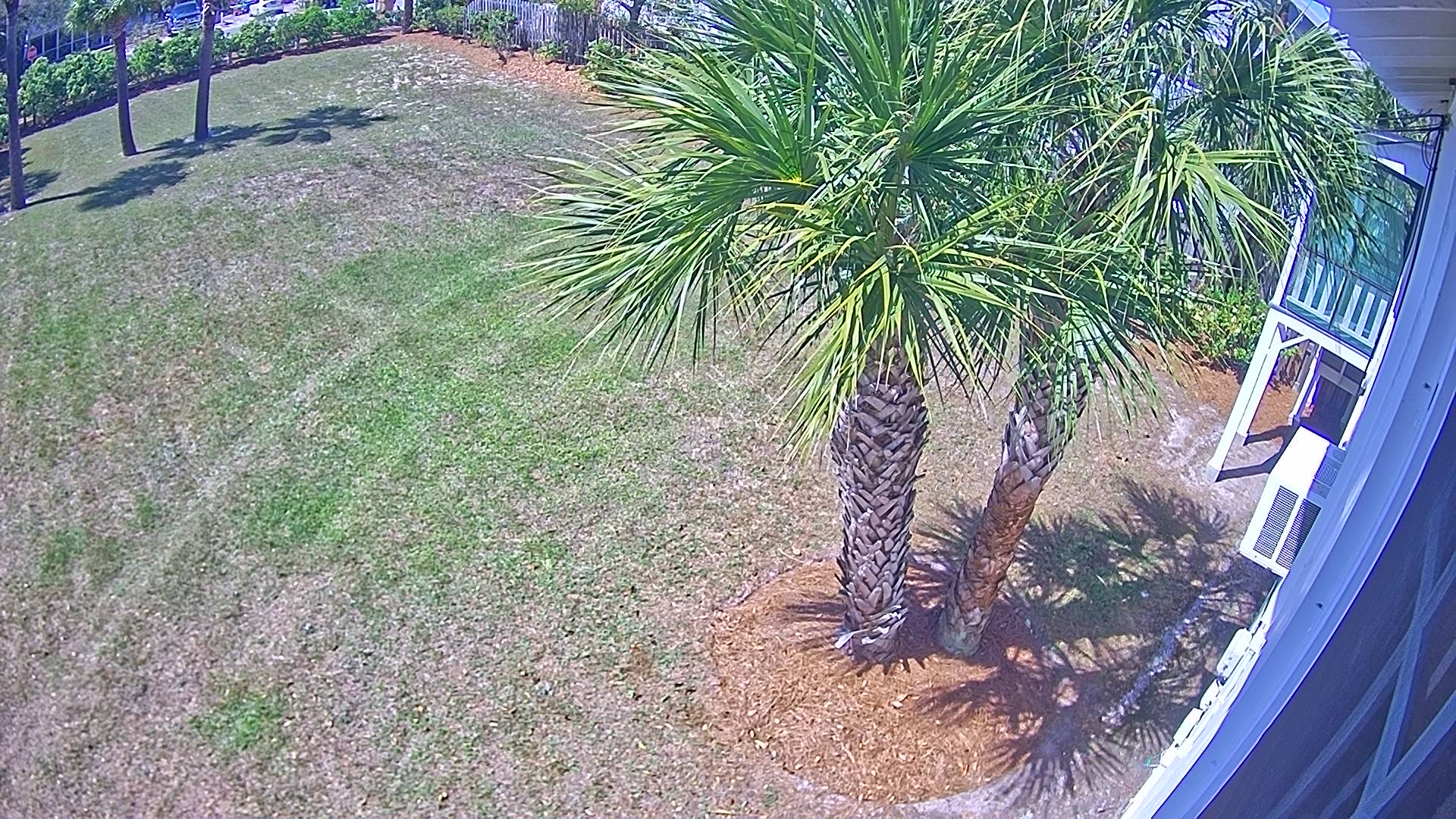 Webcam in United States