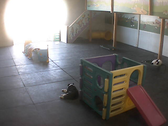 Webcam in United States