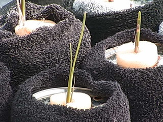 Webcam in North Branford,United States