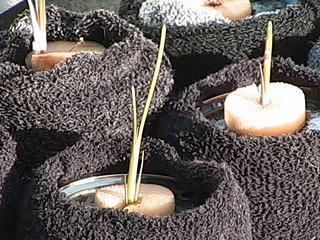 Webcam in North Branford,United States