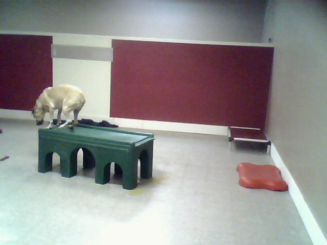 Webcam in Orlando,United States