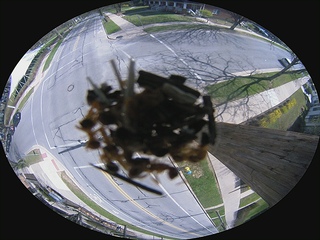 Webcam in Miami,United States