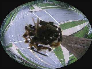 Traffic webcam