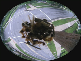Traffic webcam