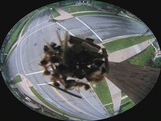 Traffic webcam