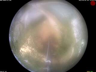 Webcam in United States