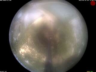 Webcam in Sebring,United States