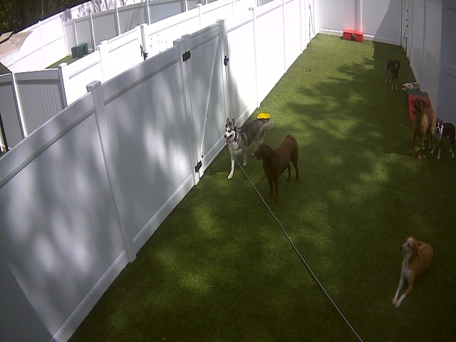 Webcam in Charleston,United States