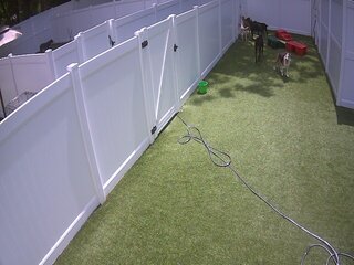 Dog Care