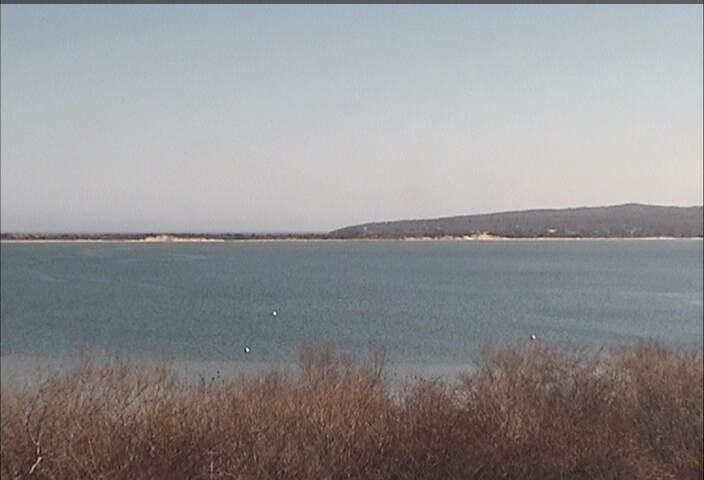 Webcam in United States