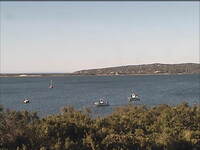 Coastal View