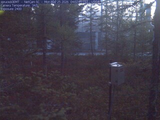 Spruce Views
