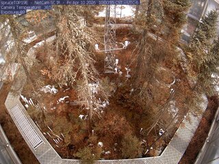 Webcam in Eveleth,United States