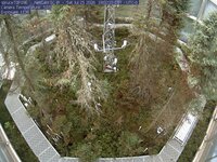 Spruce Views