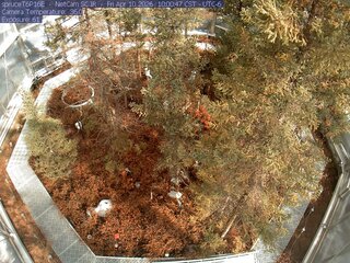 Webcam in Eveleth,United States