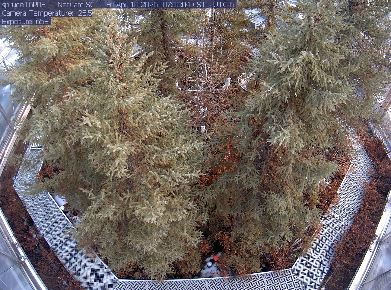 Webcam in Eveleth,United States