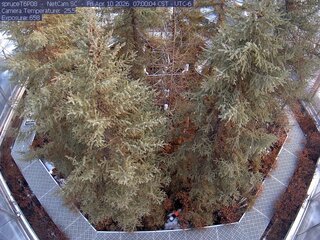 Webcam in Eveleth,United States