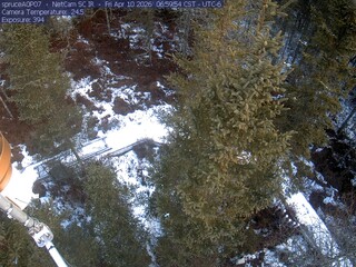Webcam in Eveleth,United States