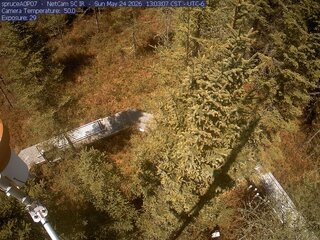 Spruce Views
