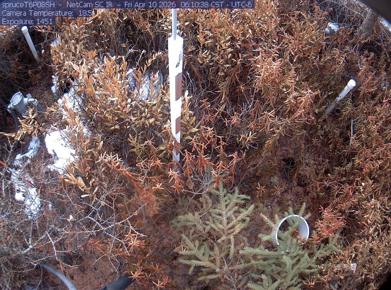 Webcam in Eveleth,United States