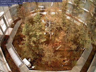Spruce Views